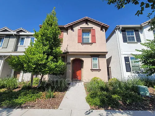 3805 Amelia Rose Way Photo 1