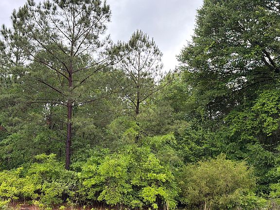 3rd image of 0 Jw Miller Rd