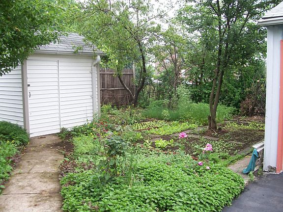 backyard garden