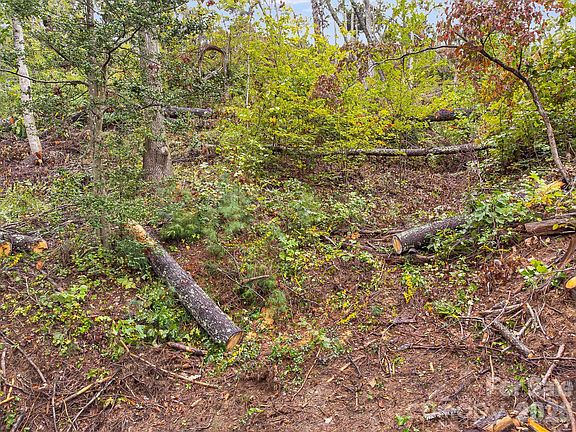 4th image of 99999 Beaverbrook Rd #2