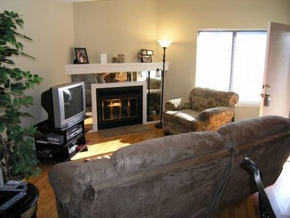 Great room with fireplace