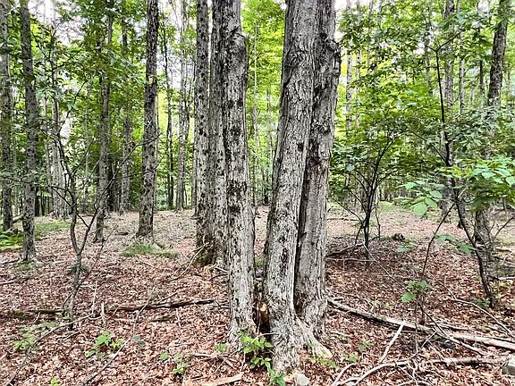4th image of 1573 White Knoll Rd
