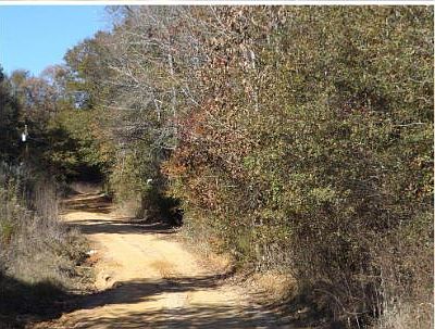 1st image of 13136 County Road 3104