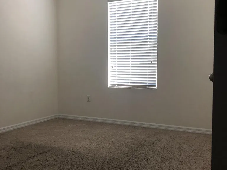 8348 Pine River Rd — Photo 3