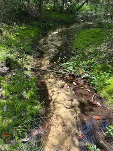 0 County Highway 1084, Defuniak Springs, FL, 32433