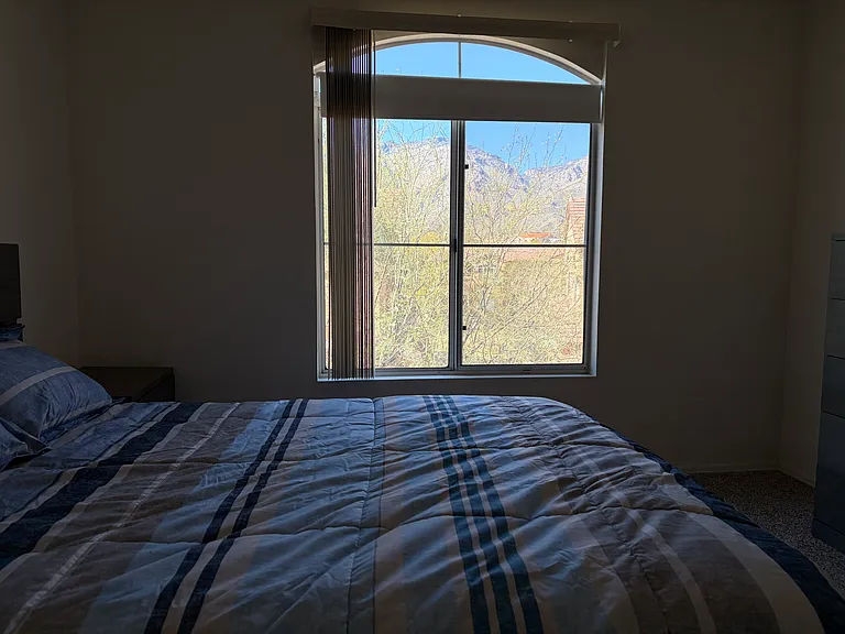 7050 E Sunrise Dr #13206 — Photo 23