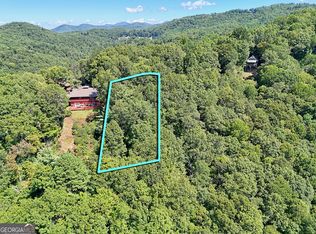 1 Pleasant Mountain Dr, Dillard, GA 30537