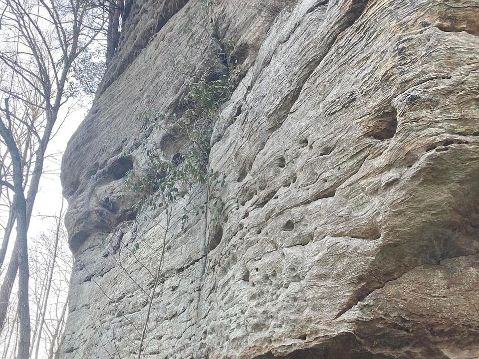 1st image of 9999 Victory Falls Rd