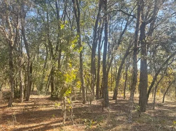 0 NW RIDGEWOOD RD LOT 9, DUNNELLON, FL 34431