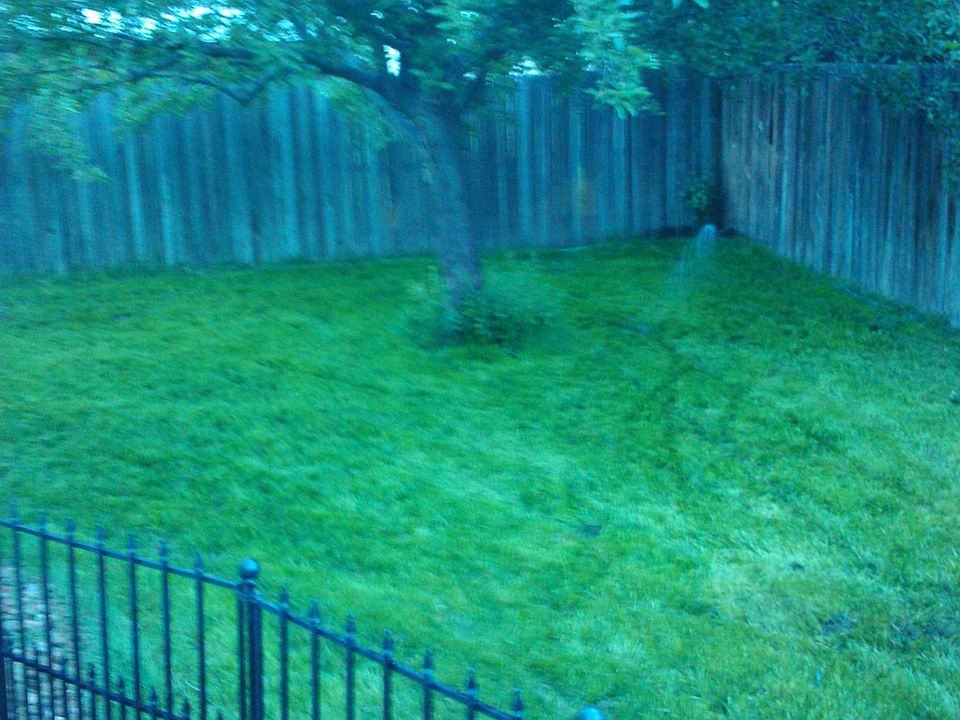 back yard, fence isn't there anymore. 