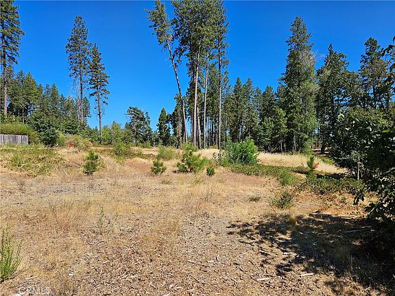 5th image of 1533 Forest Service Rd