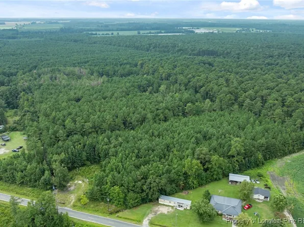 3045 Bridgers Rd, Rowland, NC 28383