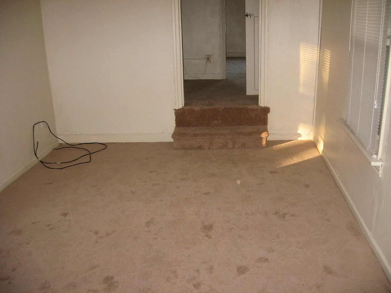 2 bed, 850 sqft, $995 — Photo 2