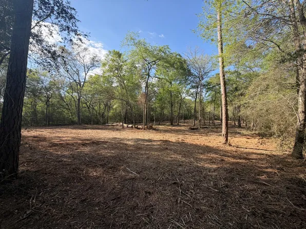 30505 N Walnut Creek Dr, Waller, TX 77484