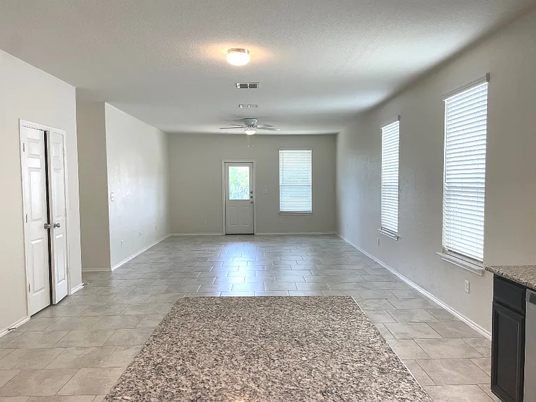 208 Texas Thistle — Photo 4