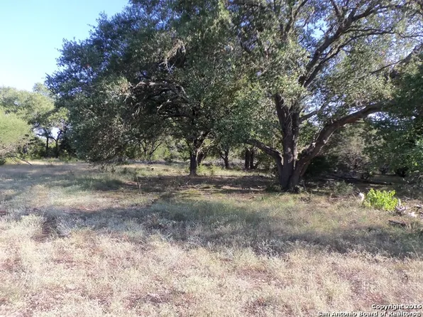 542 Stars And Stripes, Fischer, TX 78623