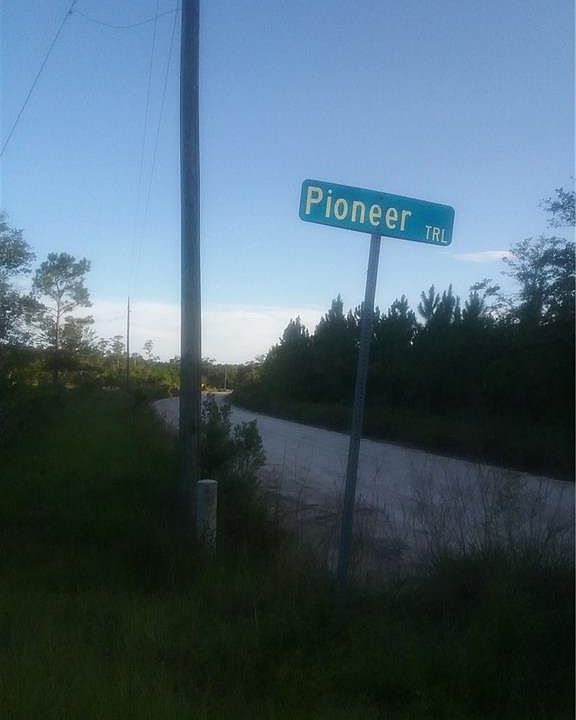 1st image of Pioneer Trl