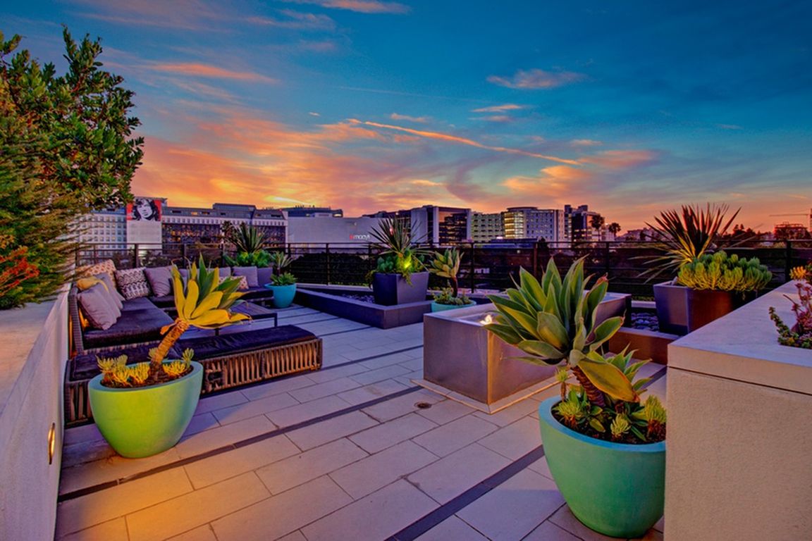 Twilight Bliss: Fiona Rooftop Lounge