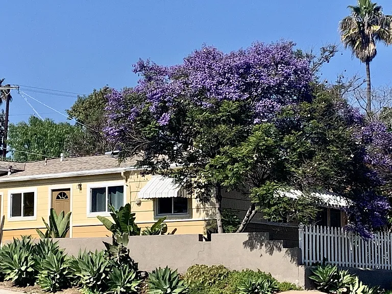 7102 Mohawk St — Photo 20