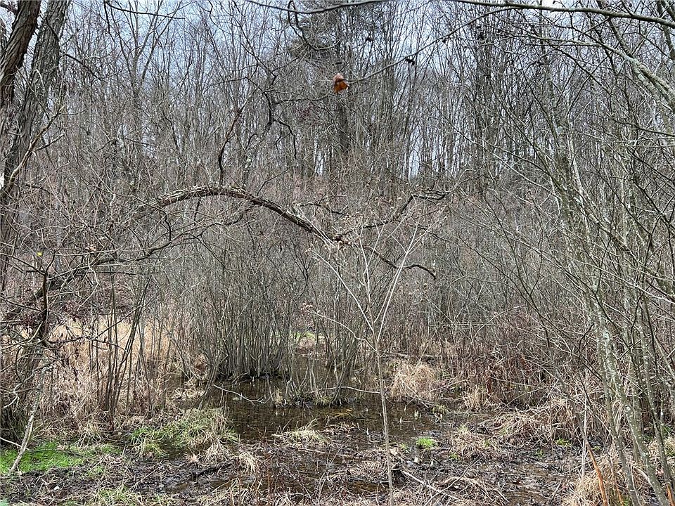 2nd image of LOT Richard Rd