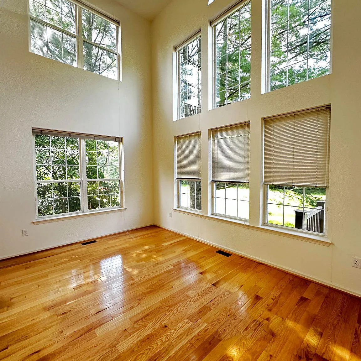 3 bed, 2.5 bath, 2464 sqft, $4,500 — Photo 3