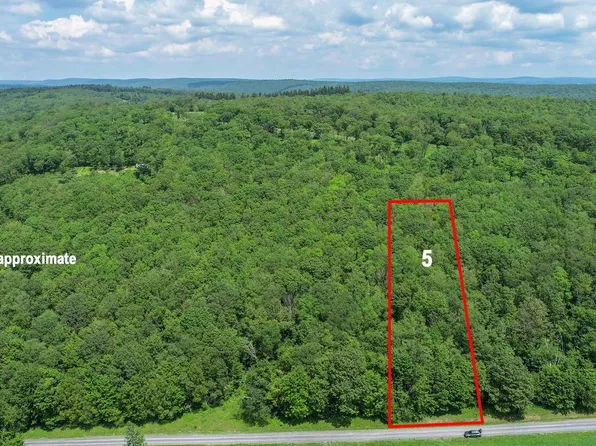 5 Greenwood Ridge Rd, Accident, MD 21520