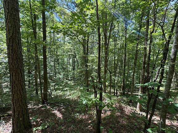 2nd image of 0 Highway 145 Tract #1