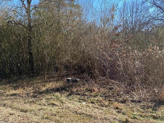 2nd image of (Undisclosed Address)