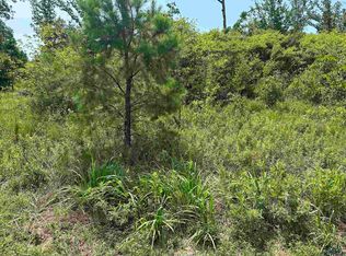 Raintree Cir, Big Sandy, TX 75755