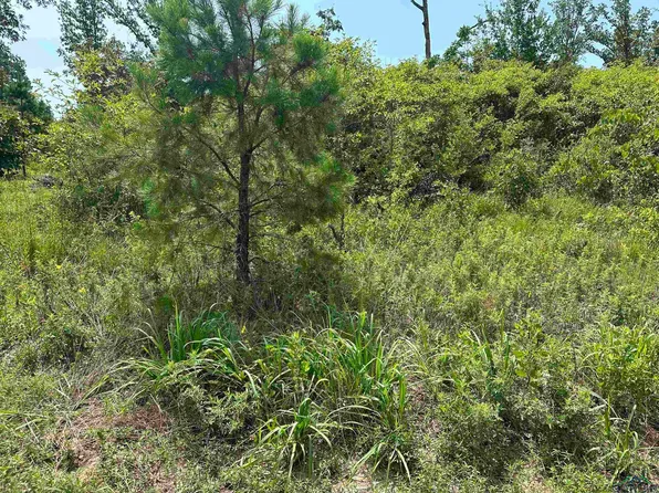 Raintree Cir, Big Sandy, TX 75755