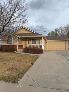 8796 Crossfire Dr, Wellington, CO, 80549