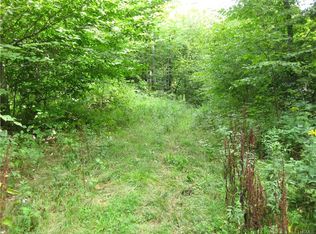 Cutler Rd, Swan Lake, NY 12783