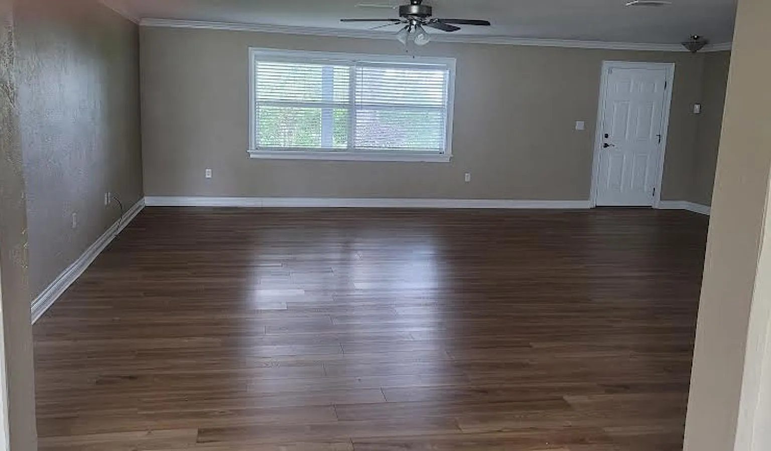 Deland 3/2 Open House Saturday Sept. 23 at 1 p.m. — Photo 2