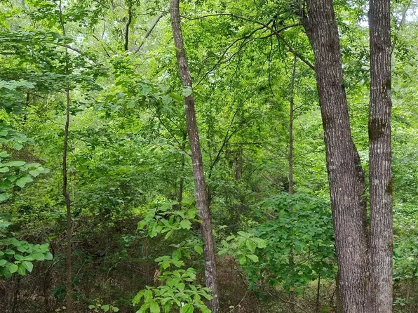 350 Paradise Acres Acres #1, West Blocton, AL 35184