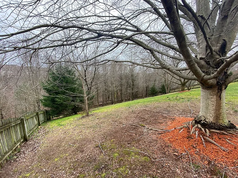 15509 Marsh Overlook Dr — Photo 38
