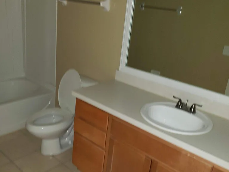 4011 Pemberly Pines Cir — Photo 1