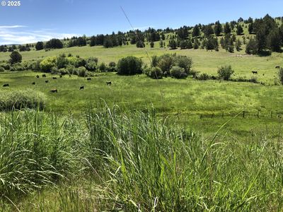 38932 Highway 395 N, Long Creek, OR, 97856