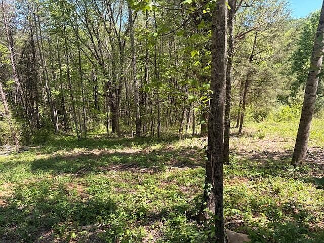 1st image of 0 Bivens Ct
