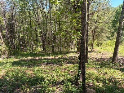 0 Bivens Ct, Niota, TN, 37826