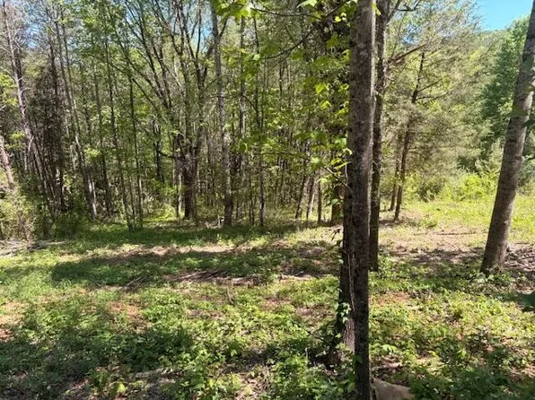 12 Bivens Ct Lot 12, Niota, TN 37826