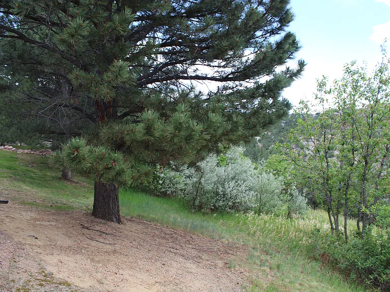 630 Autumn Crest Cir — Photo 3