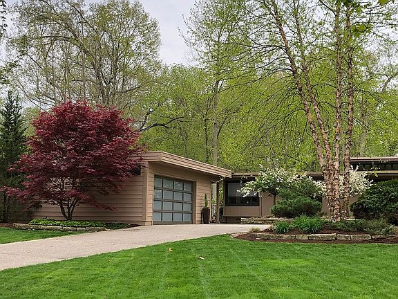 Lush landscape & lighting