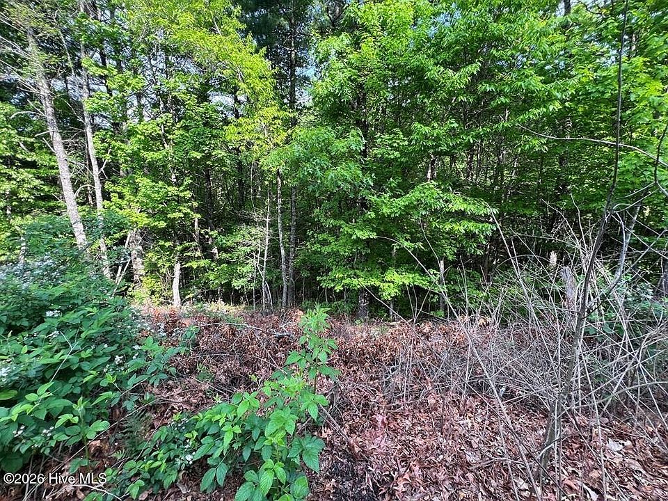 1st image of Lot 1 Leonard Lane