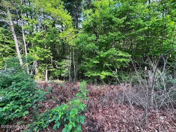 Lot 1 Leonard Lane, Murphy, NC 28906