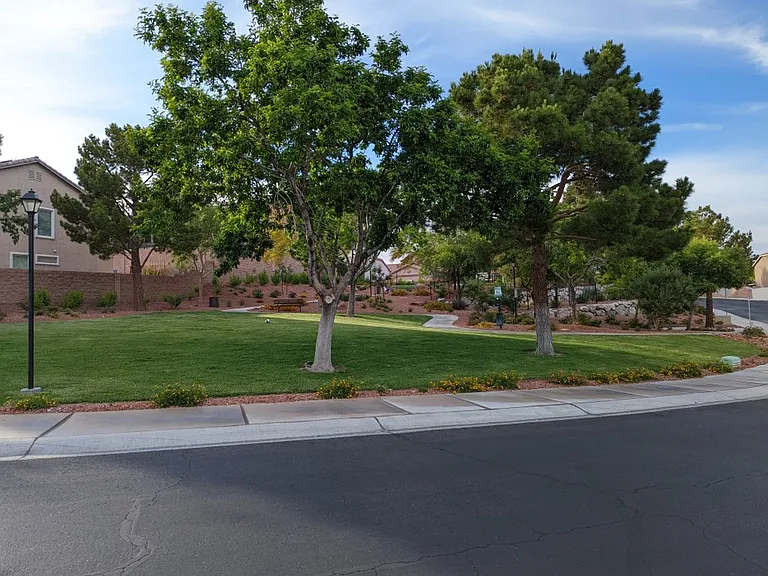 4313 Terrapin Mountain Ave — Photo 38
