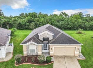 3504 Vinning Ct, Kissimmee, FL 34741