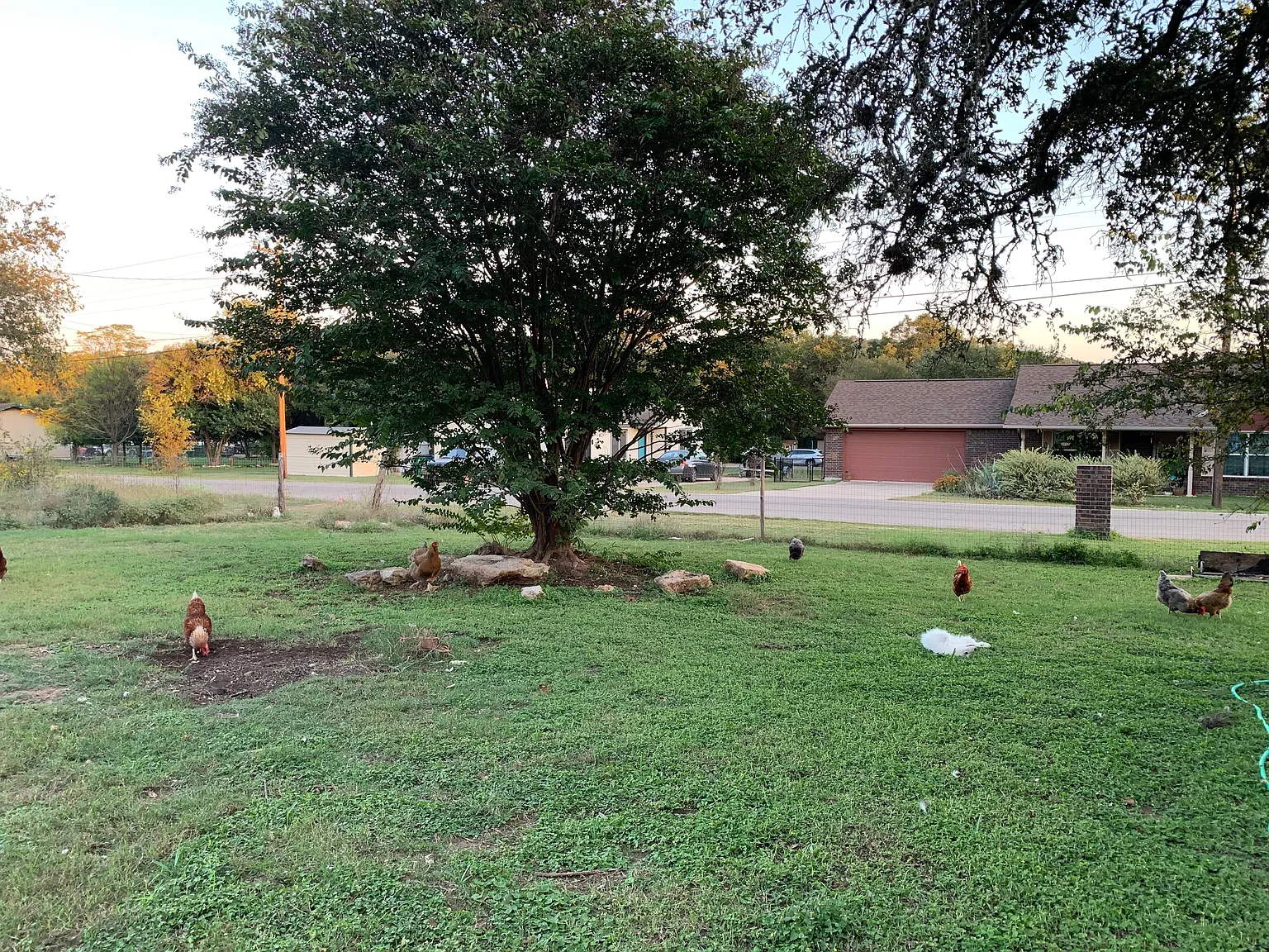 3 bed, 1064 sqft, $2,195 — Photo 2