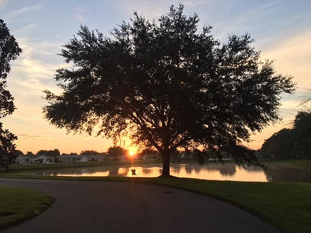 Sunrise to east from front of home