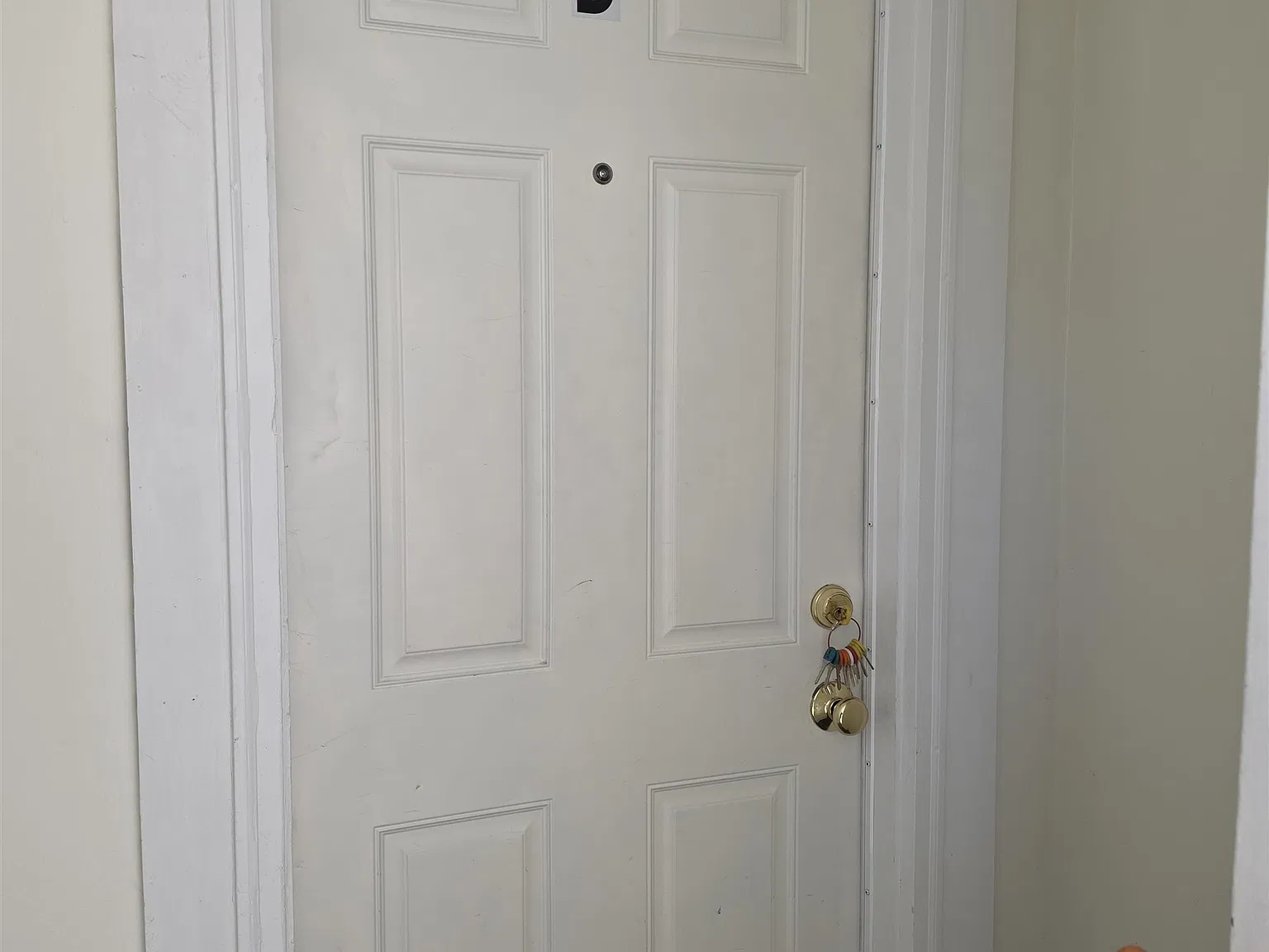 2 bed, 2.0 bath, 600 sqft, $1,795 — Photo 3