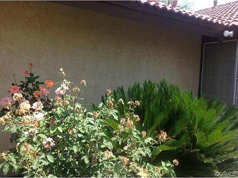 3rd image of 9847 Pinyon Ct